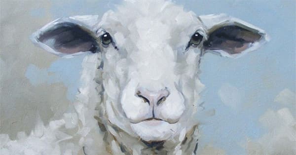 3 con giáp bị vận xui đeo bám, làm việc gì cũng gặp nhiều bất lợi trong hai ngày cuối tuần (4 - 5/12)-2