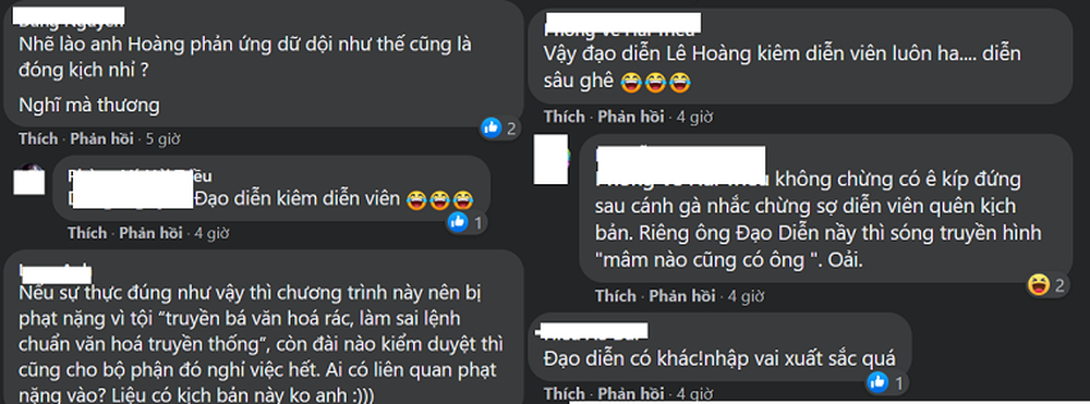 Chàng trai Huế thừa nhận nói theo kịch bản, khán giả phẫn nộ, Lê Hoàng bị nghi diễn sâu-4
