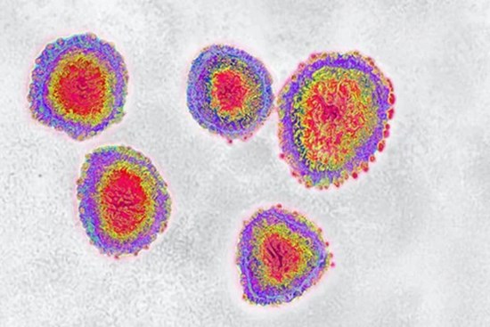 Phát hiện mới về biến chủng Omicron