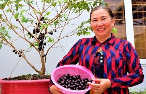 3 loại kỳ hoa dị thảo trái mọc từ thân, hái bán mãi không hết-6