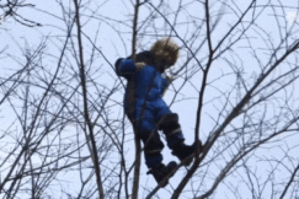 Trẻ trèo cây, học giữa rừng – mô hình mẫu giáo không tưởng của Đan Mạch