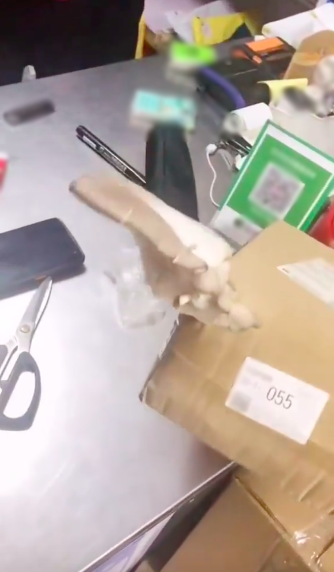 Đặt hàng bị lưu kho 2 tháng, shipper và khách cùng tá hoả khi thấy thứ xuất hiện trên thùng hàng-2