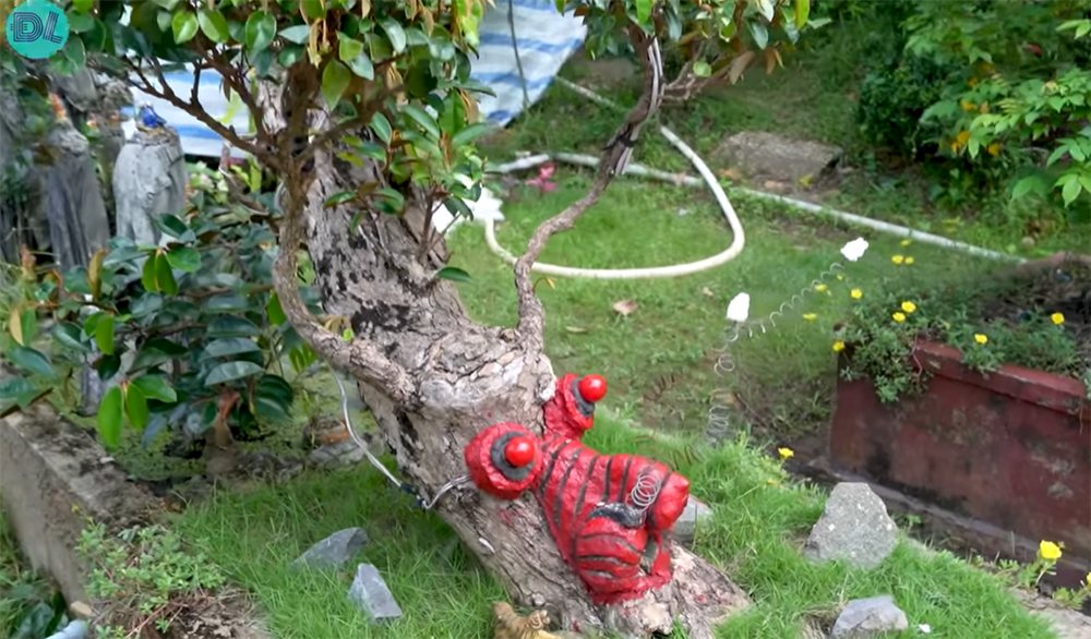 Ngắm cây vú sữa dáng rồng cổ quái, chồng hỏi ý vợ rồi hô 3 tỷ đồng: Sự thật hé lộ thú vị-3