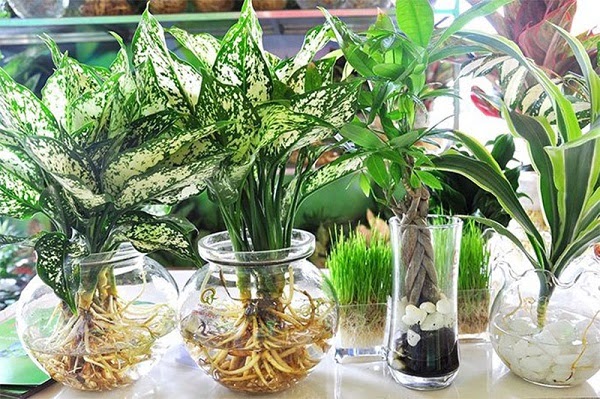 Trà để qua đêm không ngờ có tác dụng mạnh thế, vừa làm sạch đồ lại giải quyết được vấn đề lớn mà nhiều người mắc phải sau khi ngủ dậy-4