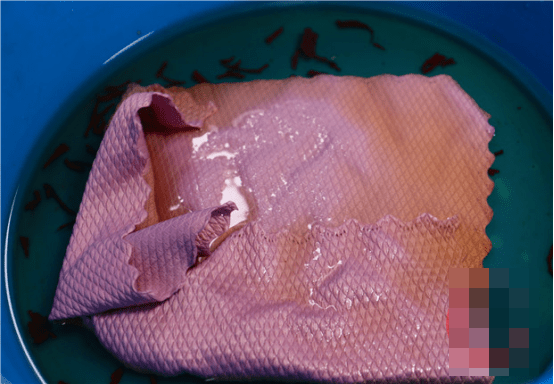 Trà để qua đêm không ngờ có tác dụng mạnh thế, vừa làm sạch đồ lại giải quyết được vấn đề lớn mà nhiều người mắc phải sau khi ngủ dậy-3