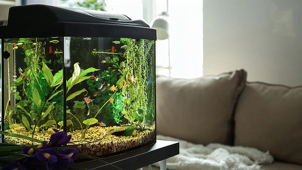 Người giàu không bao giờ mắc phải 6 điều cấm kỵ trong phong thuỷ này, còn người nghèo thì nhắm mắt làm ngơ-5