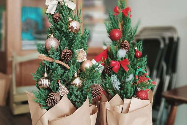 Thông tươi chục triệu đồng về từ châu Âu phục vụ Giáng sinh sớm-3