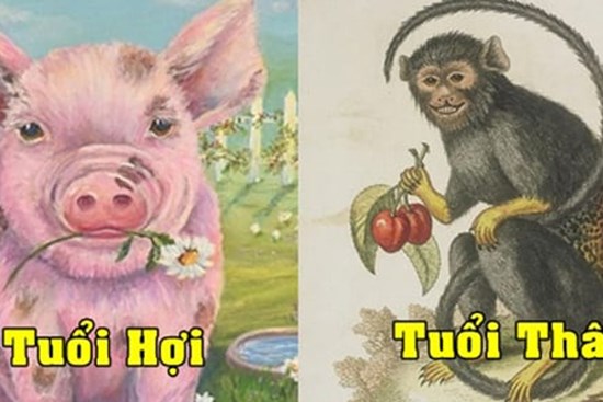 Cuối năm cá chép hóa rồng: 3 con giáp tài lộc đỏ rực, tiền bạc sung túc, đón tết Nhâm Dần 2022 ấm no