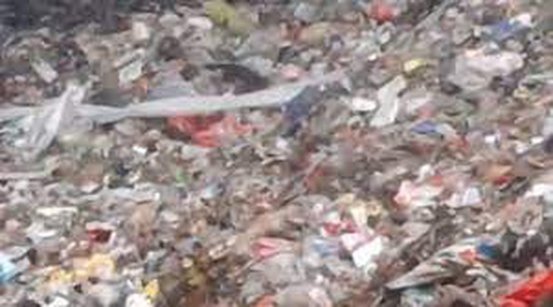 Chú chó kẹt trong lò đốt chất thải 2 năm ròng, ăn đồ độc hại để sinh tồn nhưng người xuống cứu thì không chịu ra-1