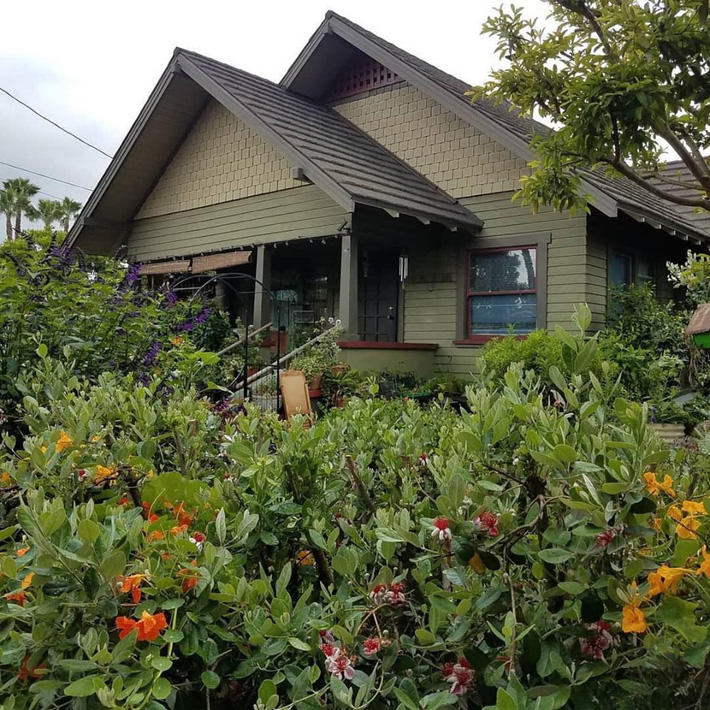 Khu vườn trồng rau quả sạch rộng 4000m² của gia đình nhiều thế hệ gắn bó với nghề nông-4