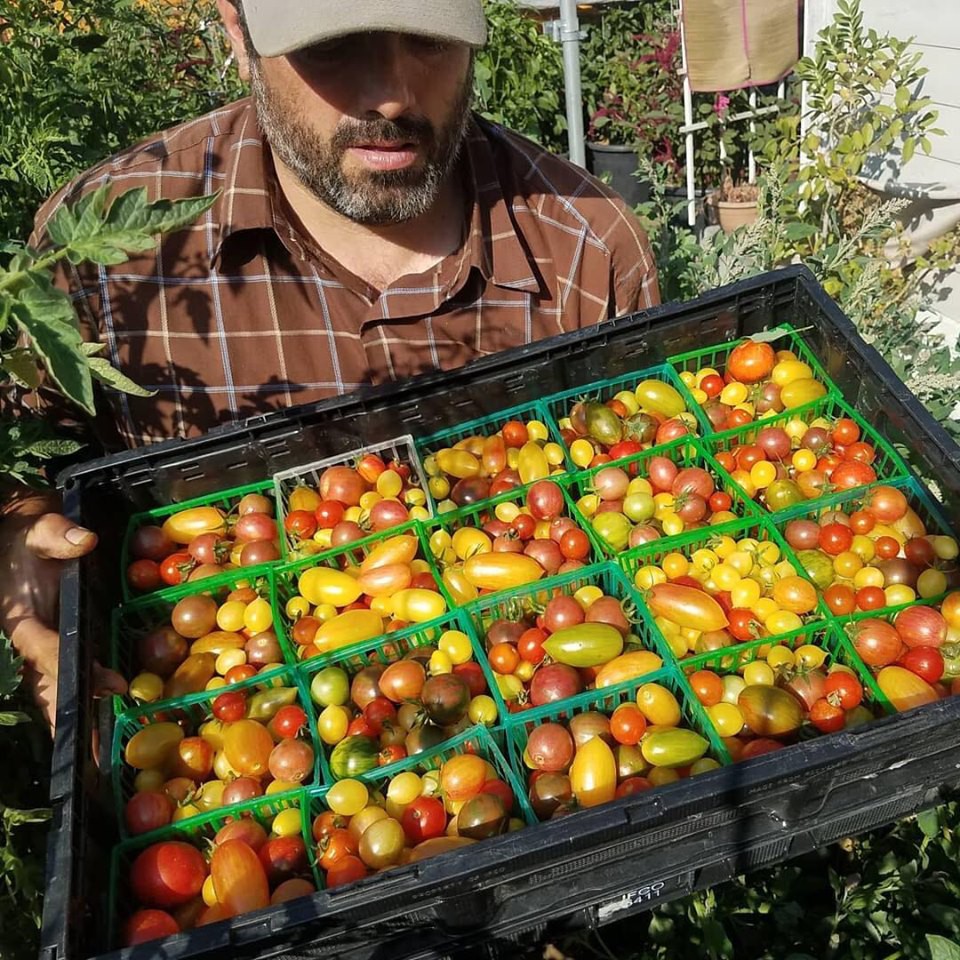 Khu vườn trồng rau quả sạch rộng 4000m² của gia đình nhiều thế hệ gắn bó với nghề nông-11