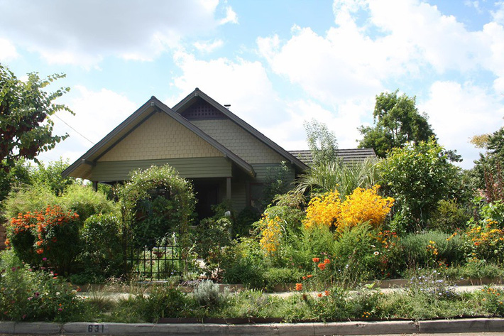 Khu vườn trồng rau quả sạch rộng 4000m² của gia đình nhiều thế hệ gắn bó với nghề nông-5