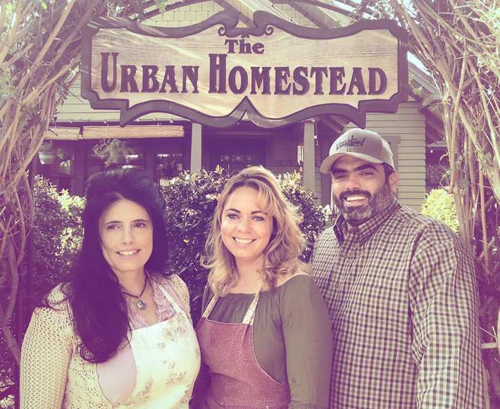 Khu vườn trồng rau quả sạch rộng 4000m² của gia đình nhiều thế hệ gắn bó với nghề nông-7