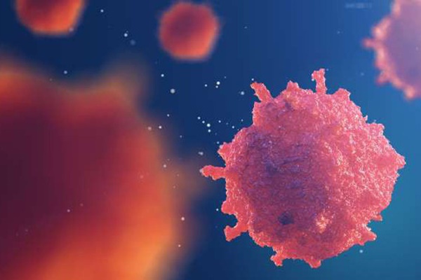 Ngừng nuôi tế bào ung thư nếu bạn tuân thủ đủ 2 cần thiết, 2 ít cần thiết trong chế độ ăn-5