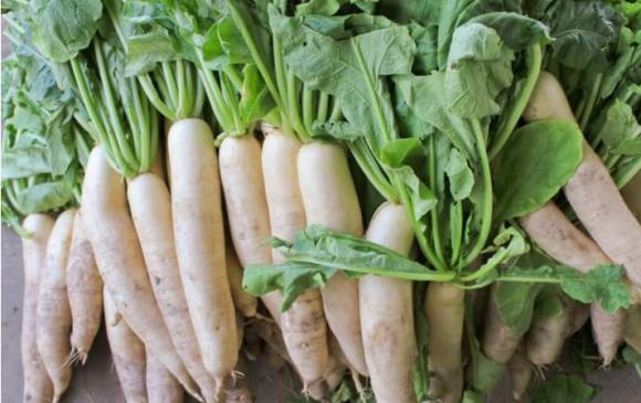 Khi mua củ cải trắng vào mùa đông, đừng mua 5 loại này dù giá rẻ. Người khôn khéo sẽ quay lưng bỏ đi, người dại sẽ chọn mua-1