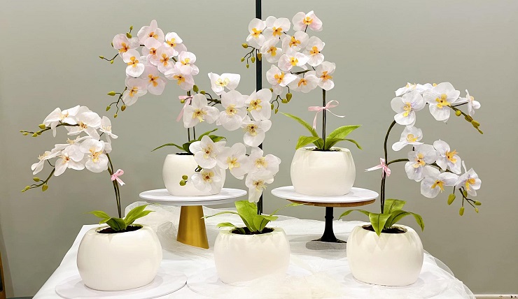 Những chậu hoa mà không phải là hoa giúp 8x hái ra tiền-1