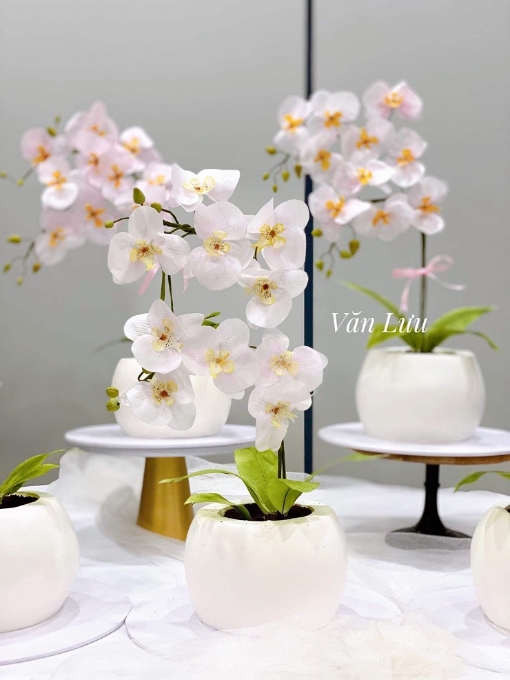 Những chậu hoa mà không phải là hoa giúp 8x hái ra tiền-2