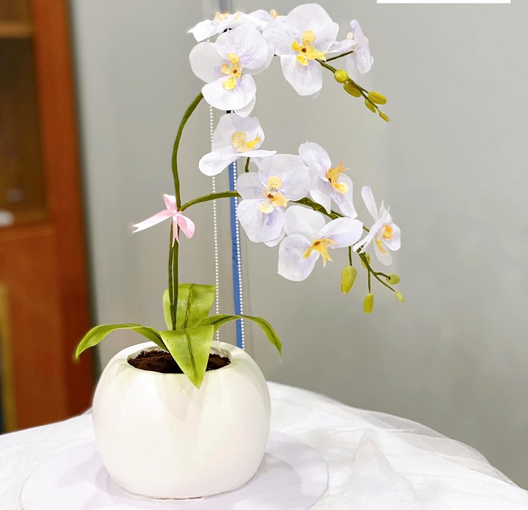 Những chậu hoa mà không phải là hoa giúp 8x hái ra tiền-3