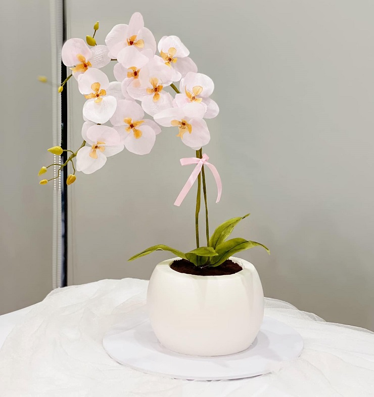 Những chậu hoa mà không phải là hoa giúp 8x hái ra tiền-4