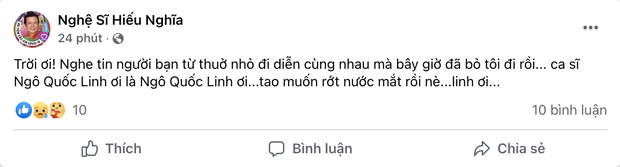 Ca sĩ Ngô Quốc Linh qua đời-1