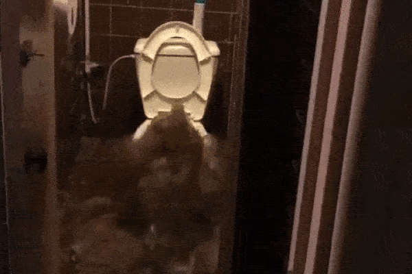 Người cha lên tiếng vụ con gái tự tử sau khi mất xe ở Bình Dương-1