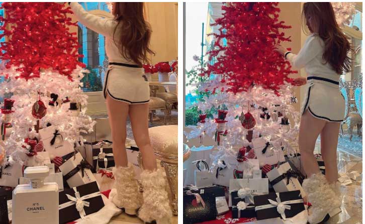 Ngắm noel bên trong biệt thự 800 tỷ của nữ tỷ phú gốc Việt, điểm nhấn dưới gốc cây thông vừa nhìn đã thấy cả núi tiền-2