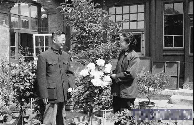 Đòn ghen chất lượng như người vợ nách 3 con: Tiểu tam ngang nhiên xuất hiện bên chồng, bà không thèm ra mặt mà chỉ dùng 8 từ khiến cô ta gục ngã-6