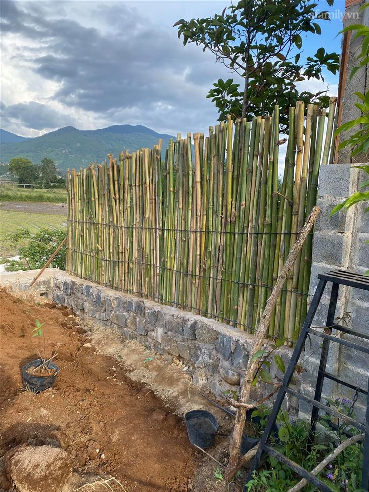 Ngôi nhà nằm giữa cánh đồng quê có khu vườn đẹp như cổ tích của mẹ đơn thân tại Lâm Đồng-7