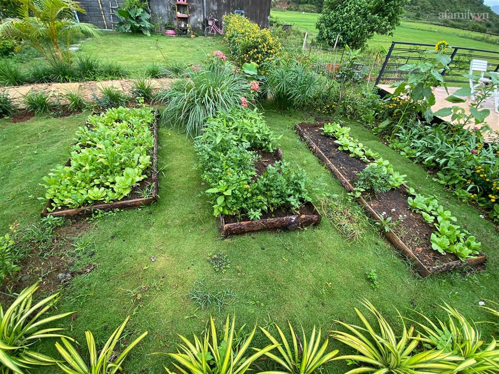 Ngôi nhà nằm giữa cánh đồng quê có khu vườn đẹp như cổ tích của mẹ đơn thân tại Lâm Đồng-13