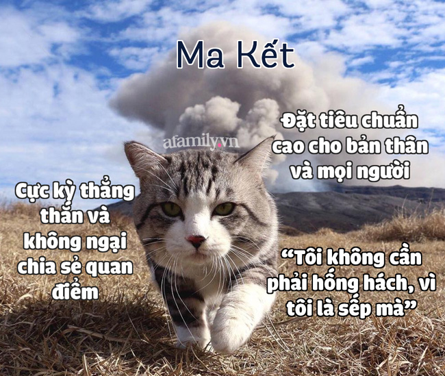 Hé lộ những bí mật thú vị thuộc về 12 cung Hoàng đạo mà ít ai biết-10