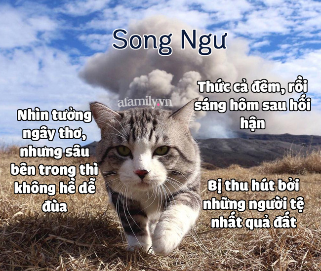 Hé lộ những bí mật thú vị thuộc về 12 cung Hoàng đạo mà ít ai biết-12