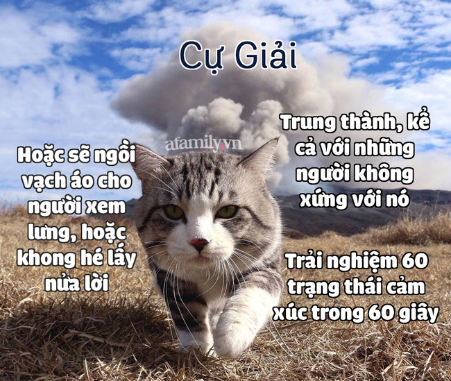 Hé lộ những bí mật thú vị thuộc về 12 cung Hoàng đạo mà ít ai biết-4