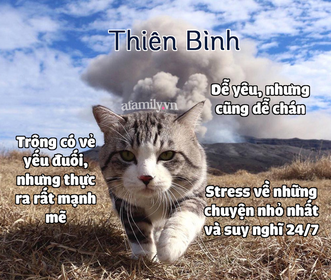 Hé lộ những bí mật thú vị thuộc về 12 cung Hoàng đạo mà ít ai biết-7