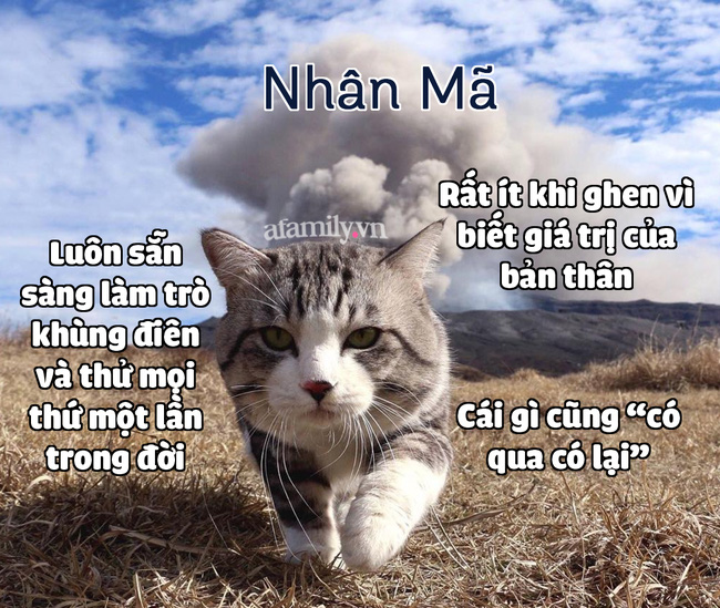 Hé lộ những bí mật thú vị thuộc về 12 cung Hoàng đạo mà ít ai biết-9