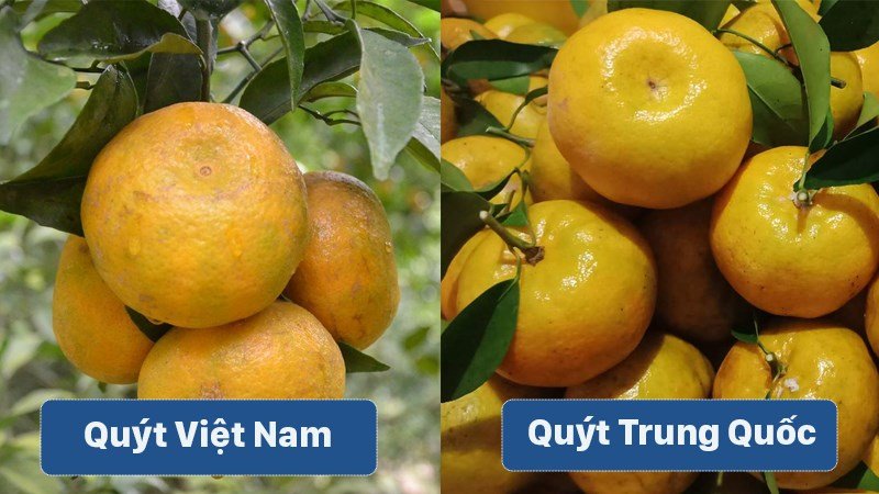 Nhận diện 5 loại trái cây Trung Quốc đang được bán tràn lan ở chợ Việt-1