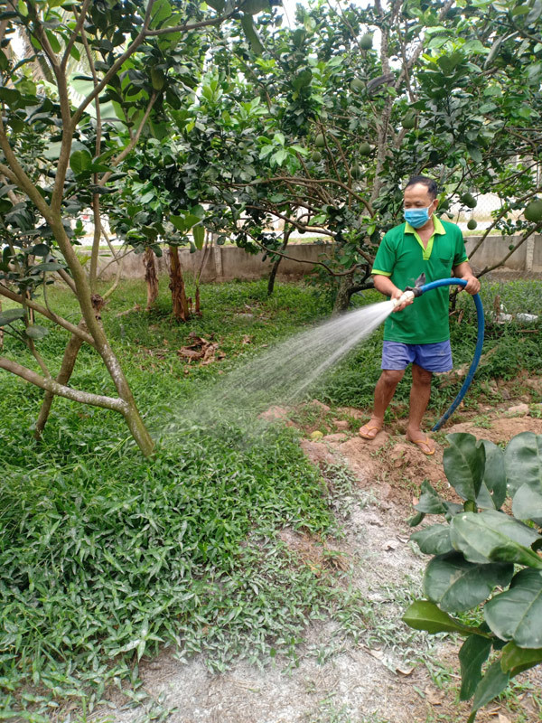 Phân bón Cà Mau ra mắt bộ sản phẩm NPK một hạt-4