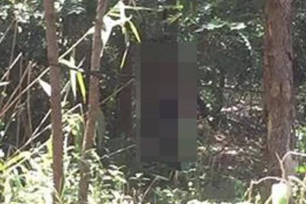 Chủ công trình đào móng làm sập nhà 3 tầng của hàng xóm: Sẽ xây lại nhà cho nạn nhân-2