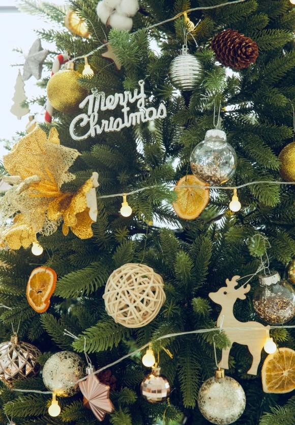 Không gian Giáng sinh lung linh bên trong penthouse của Hoa hậu Ngọc Diễm-13