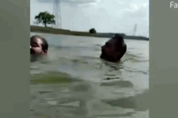 Bé gái thản nhiên ngồi chơi đùa, đánh răng cho... cá sấu-1