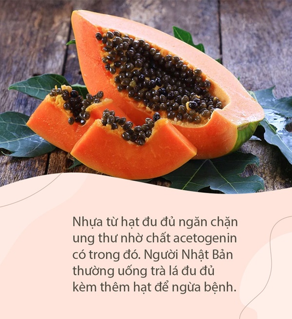 Trong đu đủ có một thứ được mệnh danh là kho báu bảo vệ thận, chống ung thư nhưng ai cũng tiện tay vứt bỏ khi ăn-4