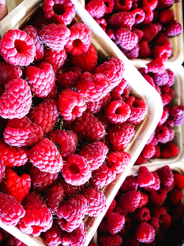 5 món ăn sáng được coi là sát thủ” của cholesterol xấu, ăn đều sẽ quét sạch mỡ trong máu, không lo biến chứng xơ vữa động mạch, đau tim hay đột quỵ-2