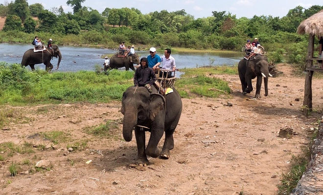 Đắk Lắk sẽ bỏ loại hình du lịch cưỡi voi-1