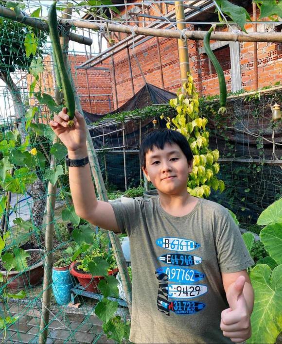 Lê Phương khoe vườn rau xanh mướt của nhà bố mẹ ruột ở Trà Vinh, hai nhóc tỳ thích thú khi được hái trái cây-3