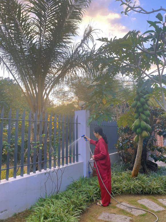 Lê Phương khoe vườn rau xanh mướt của nhà bố mẹ ruột ở Trà Vinh, hai nhóc tỳ thích thú khi được hái trái cây-5