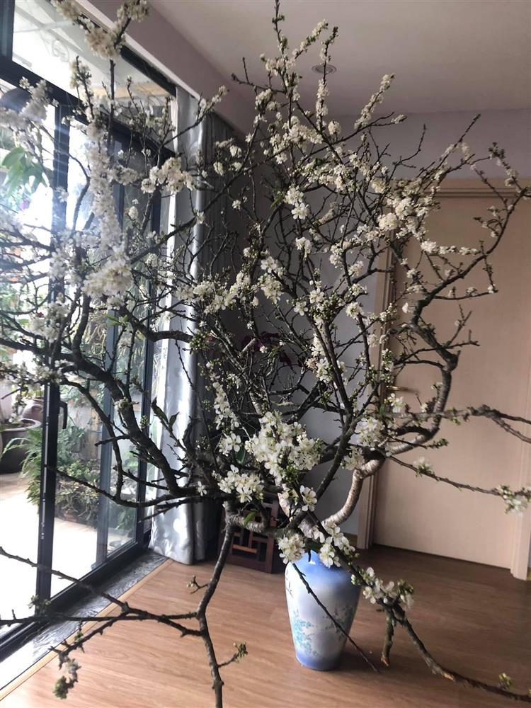 Mua củi khô về cắm, 1 tháng sau nụ bất ngờ trổ bông trắng cành làm nức lòng khách chơi-1