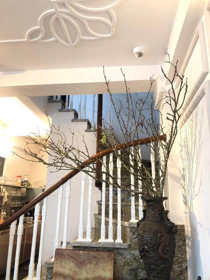 Mua củi khô về cắm, 1 tháng sau nụ bất ngờ trổ bông trắng cành làm nức lòng khách chơi-4