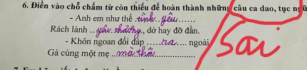 Cô bé không hiểu bài nên điền bừa tục ngữ Tiếng Việt, lầy đến mức chị gái cũng phải ôm đầu: Ôi chết mất!-1