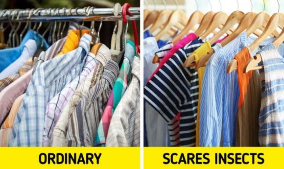 10 chi tiết nhỏ trong những đồ vật hàng ngày nhưng không phải ai cũng biết công dụng của nó-6