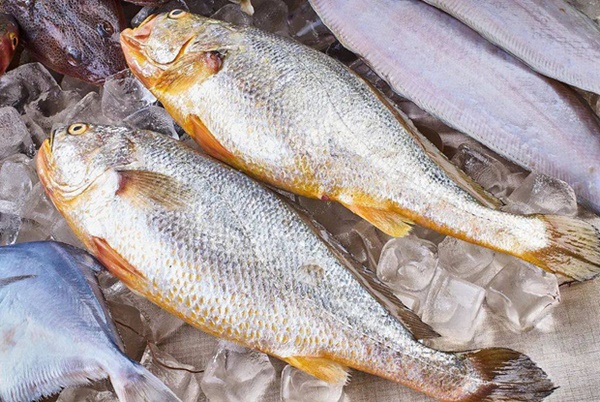 Ăn cá rất tốt nhưng có 4 loại cá siêu nguy hiểm cần tránh tiêu thụ, nên ăn cá theo 3 cách này để bồi bổ gấp bội-3