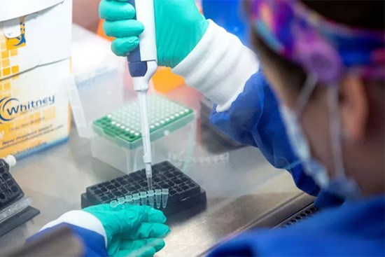 Tìm ra bí mật Omicron lây quá nhanh nhưng bệnh lại nhẹ?